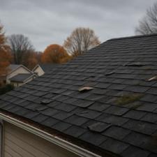 Roof Algae vs. Moss: When You Need a Soft Wash in Leelanau County