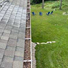 Michigan Roof Cleaning Guide: How Soft Washing Prevents Shingle Damage Caused by Gloeocapsa Magma