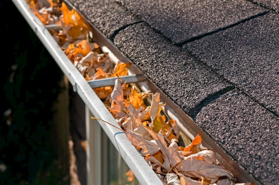 Gutter cleaning