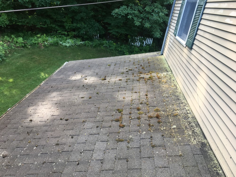 Gutter Brightening and Roof Wash