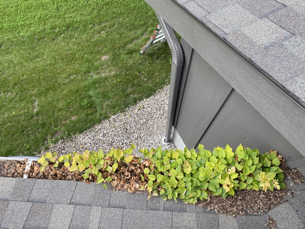 Suttons Bay Gutter Cleaning